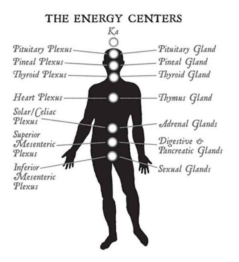energy centers energy centers: plexus and glands